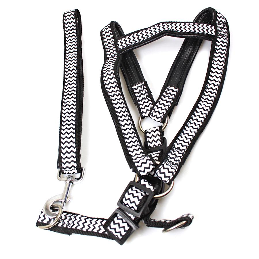 Dog Leash Lead with Harness Printed Design Assorted Designs 1827 (Large Letter Rate)